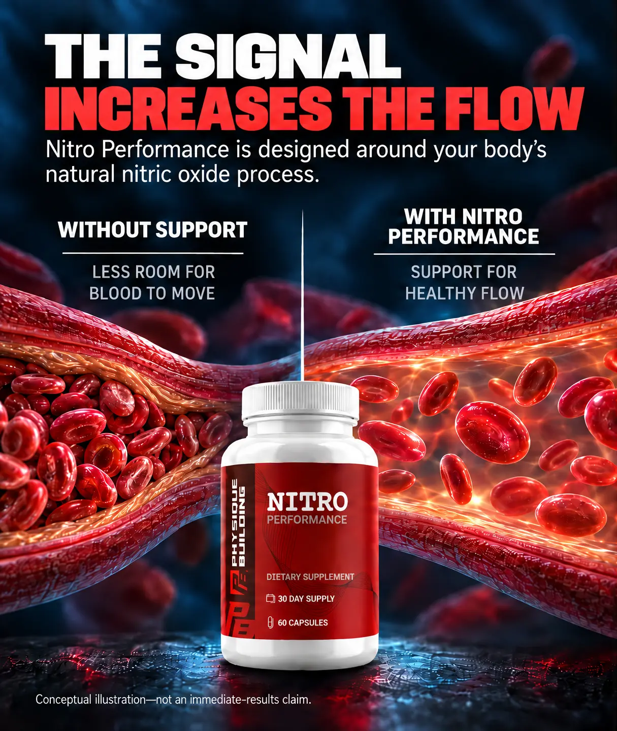 Nitro Performance supports the body's natural nitric oxide process for healthy flow